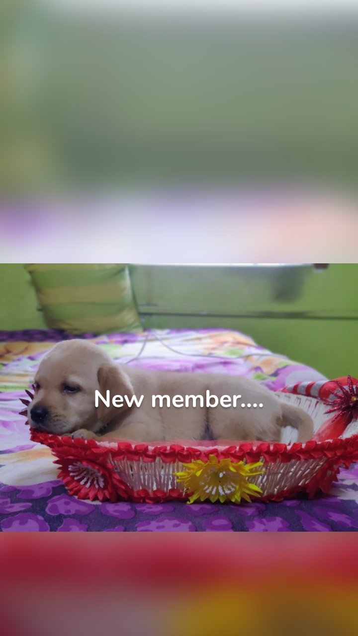 New member....