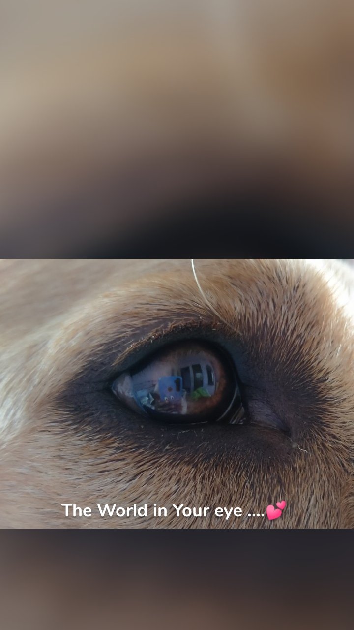












The World in Your eye ....💕




